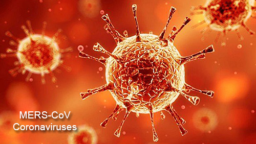 MERS-CoV coronaviruses